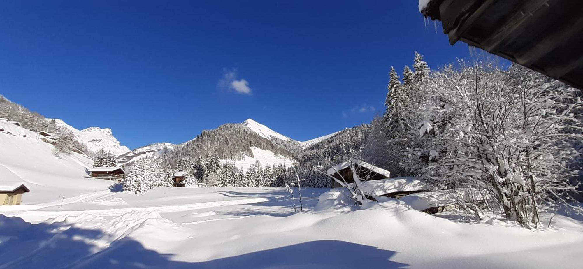 Chalet L'Armoy La Giettaz Ngoại thất bức ảnh